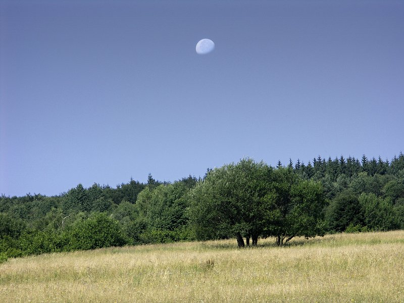 img00001.jpg
