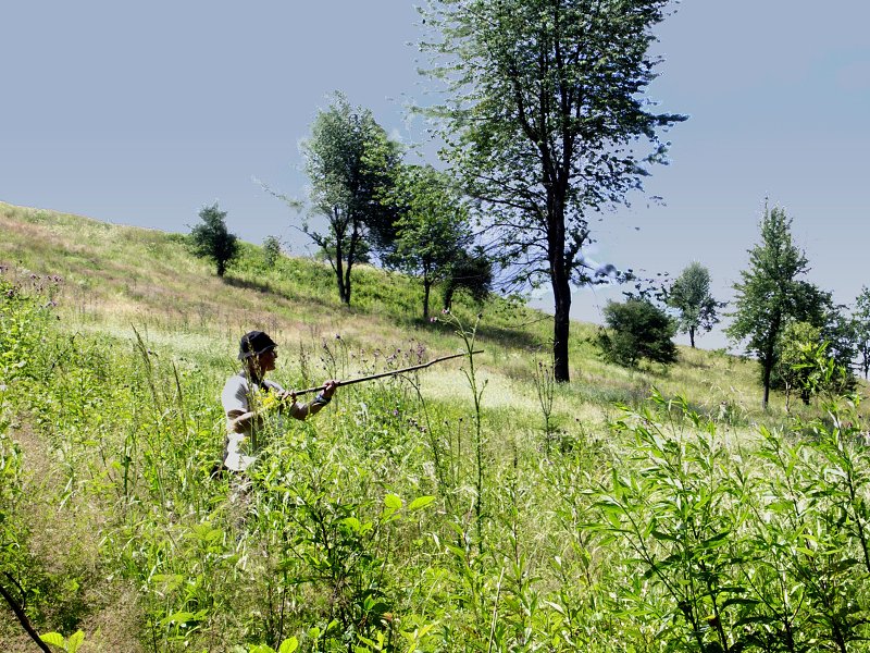img00010.jpg